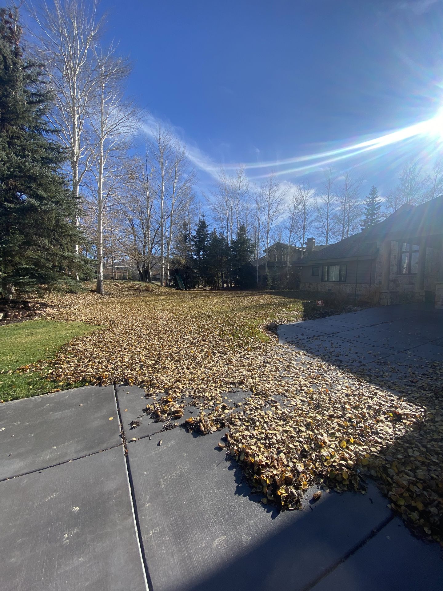 Fall lawn cleanup at a Park City home