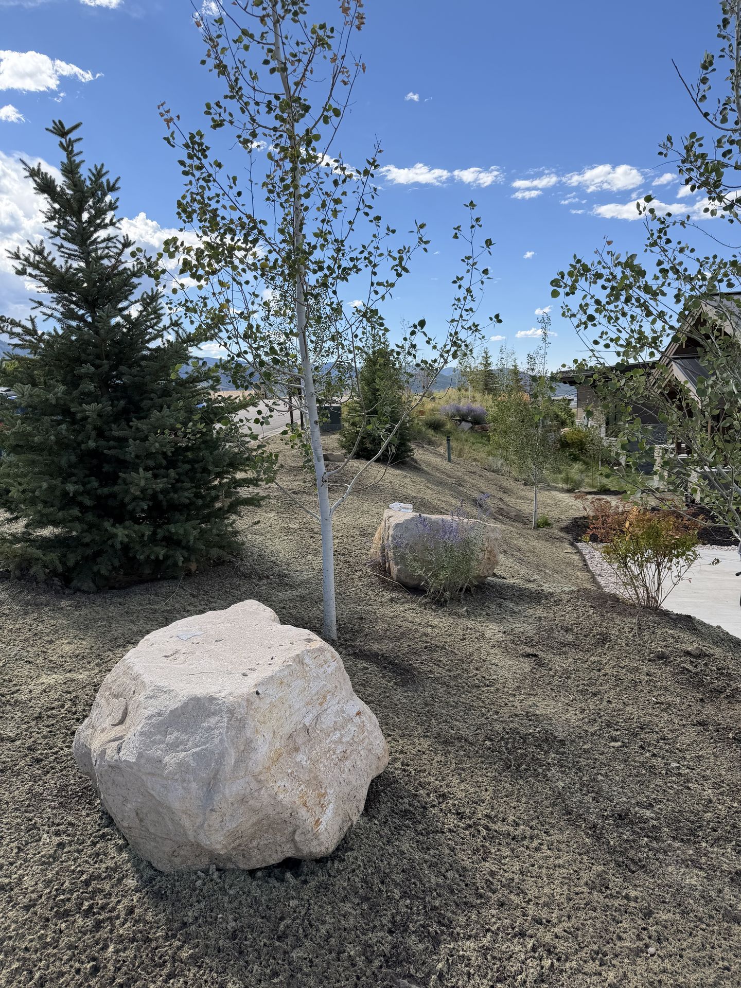 High West lawn and property maintenance