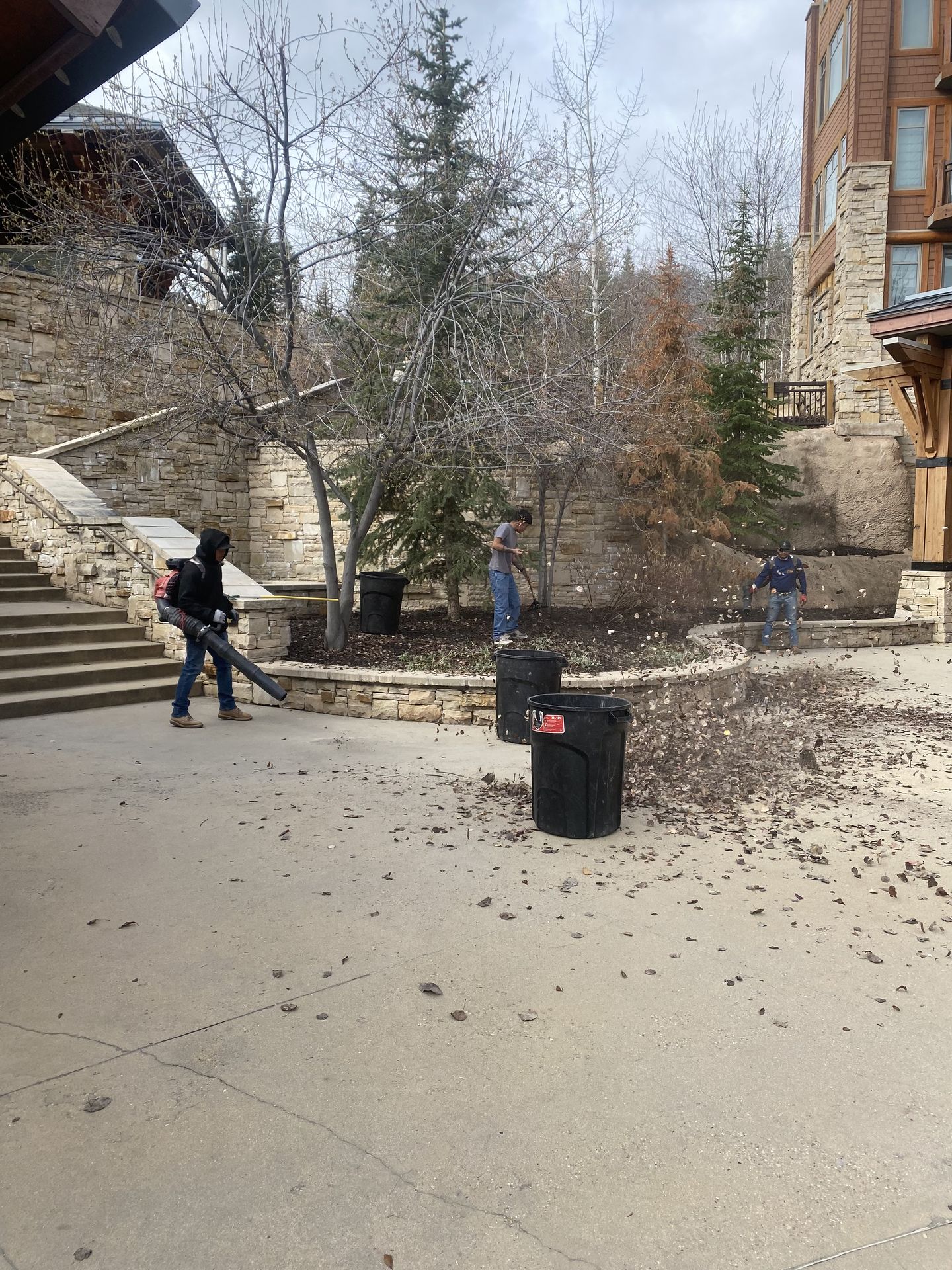 High West lawn and property maintenance